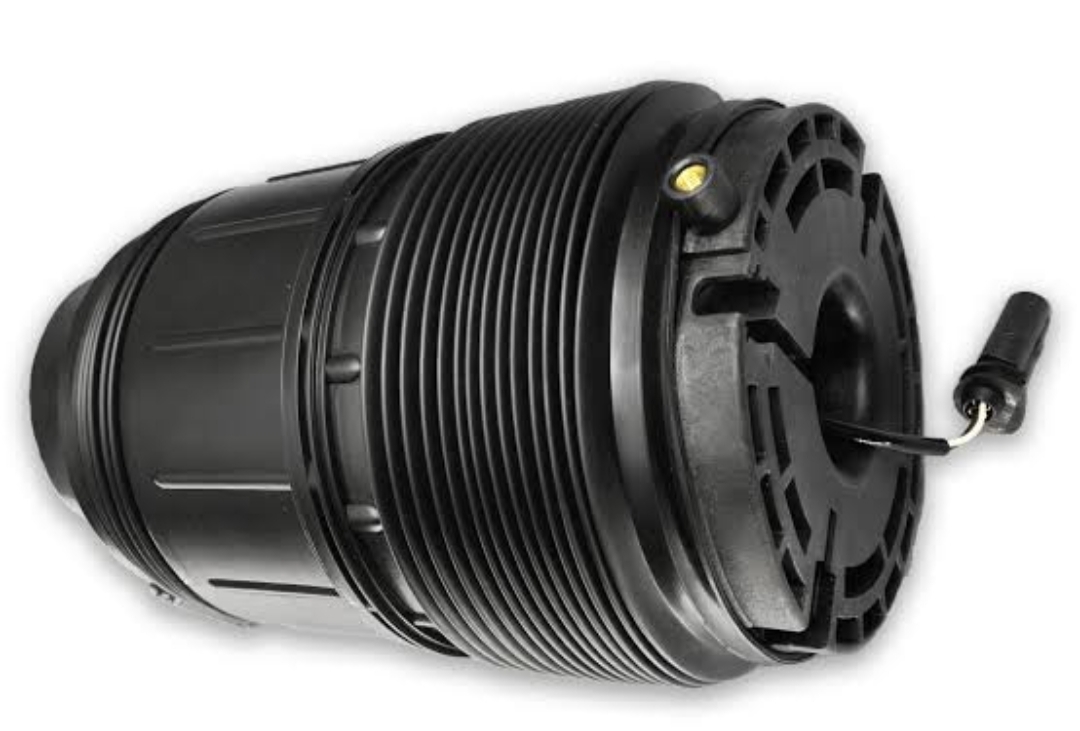 Bolsa de suspensão Porsche Panamera